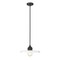 Z-Lite Paloma Pendant, 1-Light, 14 In.W x 6.25 In.H, Matte Black/Gloss Opal 820P14-MB - alternate 1